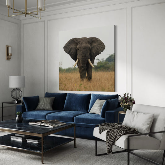 Cuadro decorativo canvas Elefante 011