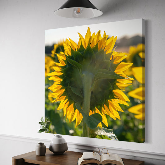 Cuadro decorativo canvas Girasol 002