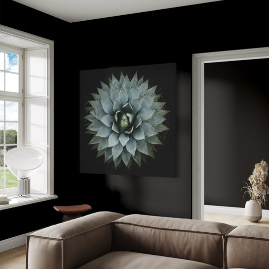 Cuadro decorativo canvas Suculenta 001