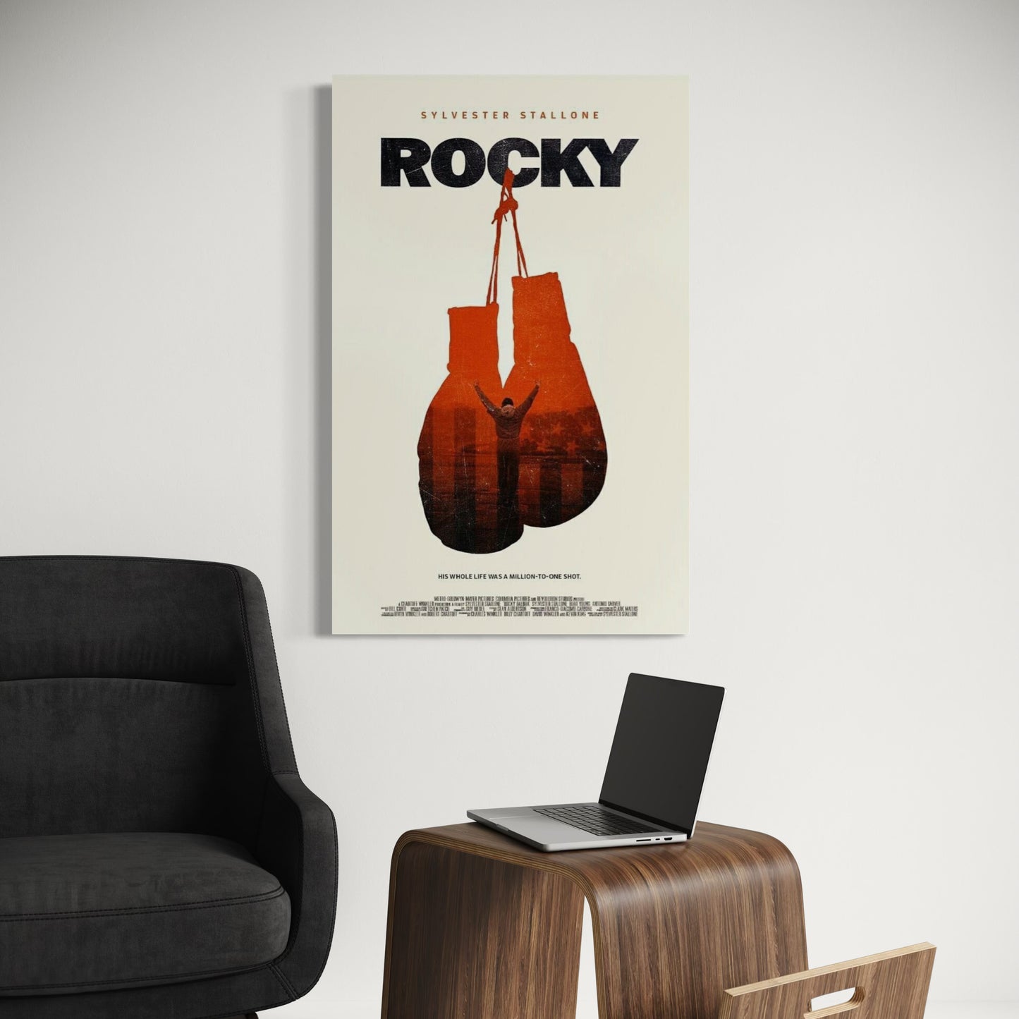 Cuadro decorativo canvas Rocky 005