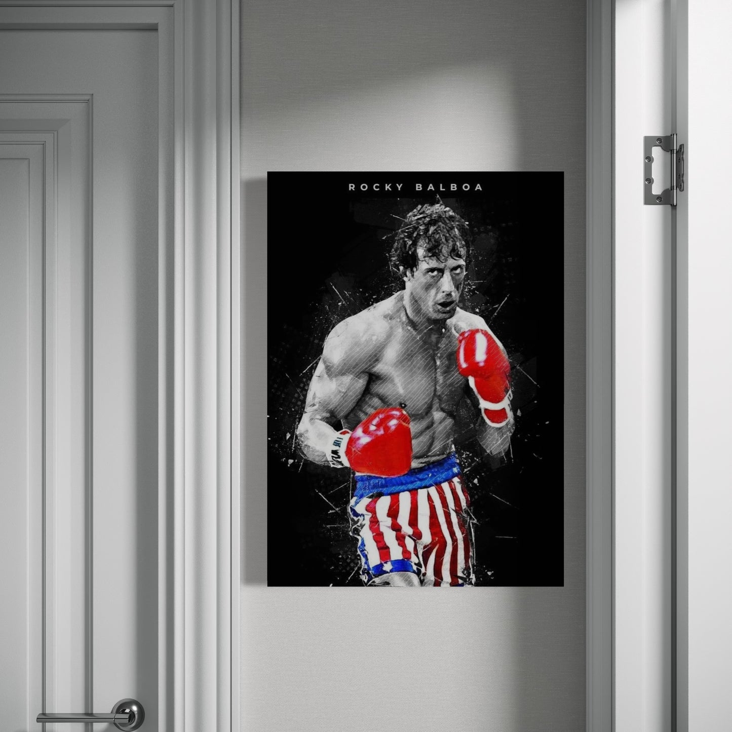 Cuadro decorativo canvas Rocky 003