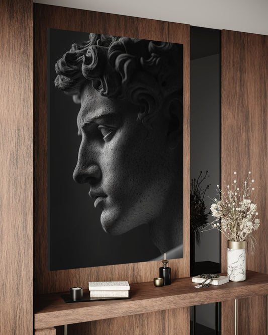 Cuadro decorativo canvas El David 006