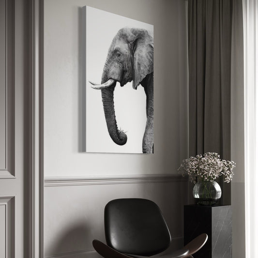 Cuadro decorativo canvas Elefante 009