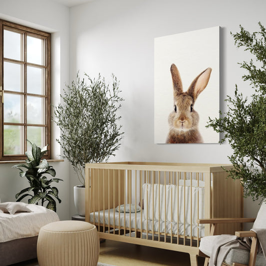 Cuadro decorativo canvas Conejo 003