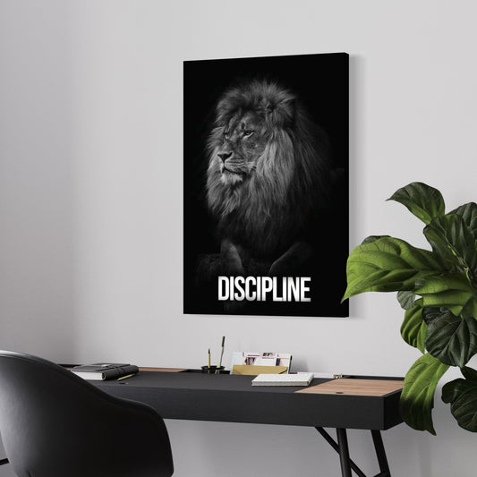 Cuadro decorativo canvas Discipline