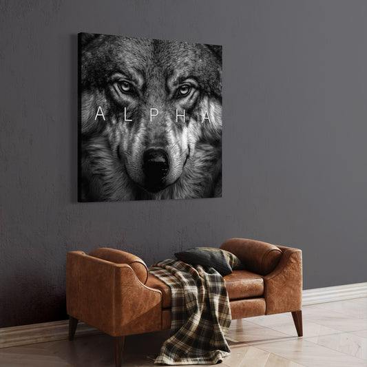 Cuadro decorativo canvas Alpha