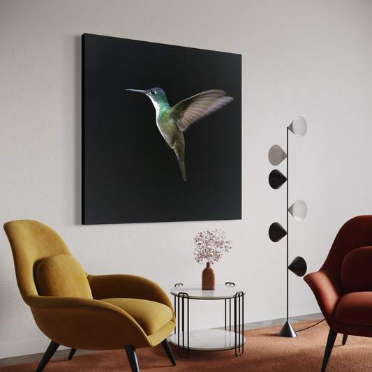 Cuadro decorativo canvas Colibrí 005