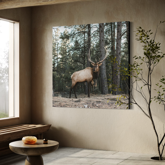 Cuadro decorativo canvas Alce 003