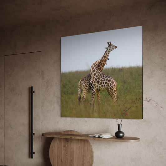 Cuadro decorativo canvas Abrazo de Jirafas