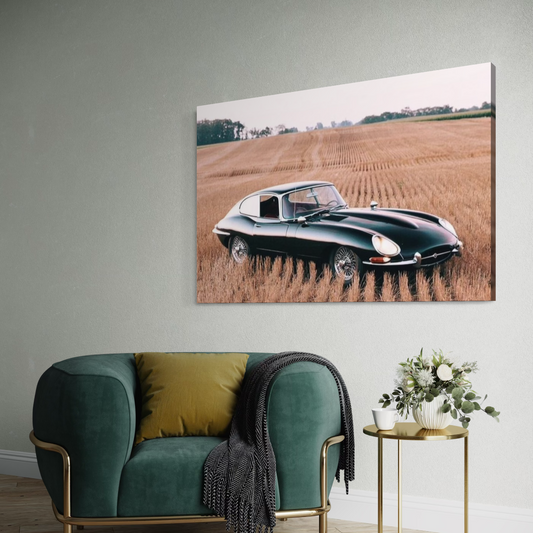 Cuadro decorativo canvas Jaguar E-Type Coupé 002