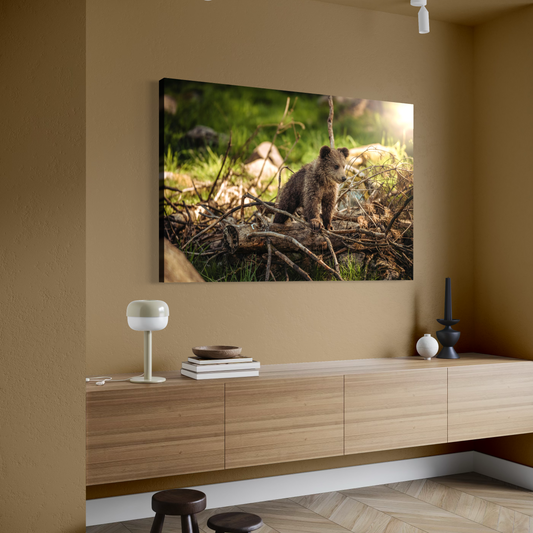 Cuadro decorativo canvas Oso 015