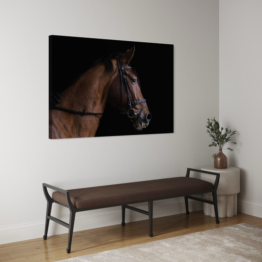 Cuadro decorativo canvas Caballo 002