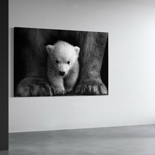 Cuadro decorativo canvas Osos Polares 002