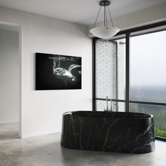 Cuadro decorativo canvas Tortuga 002