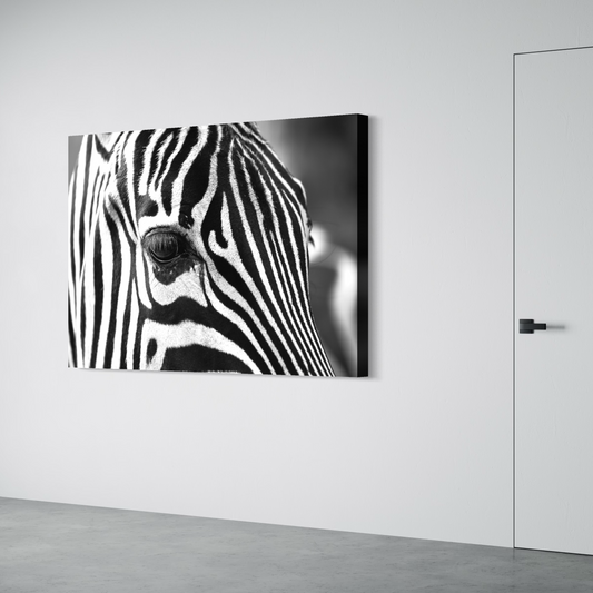 Cuadro decorativo canvas Zebra 005