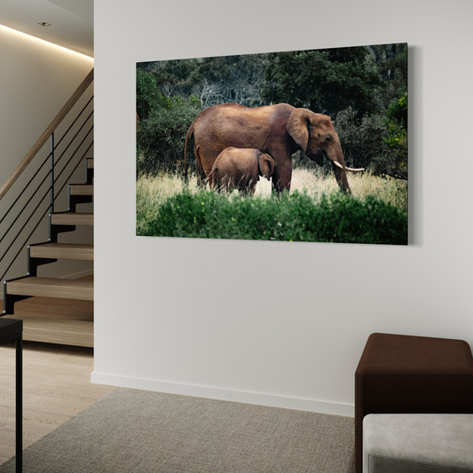 Cuadro decorativo canvas Elefantes 014