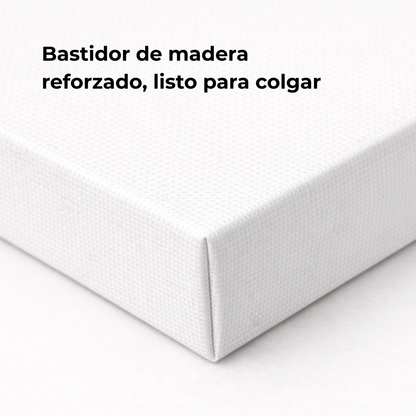 Cuadro decorativo canvas Risk