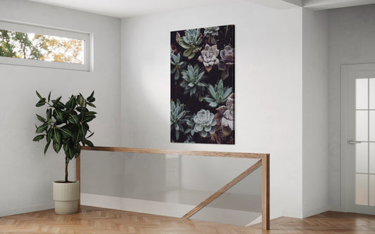 Cuadro decorativo canvas Suculentas 001