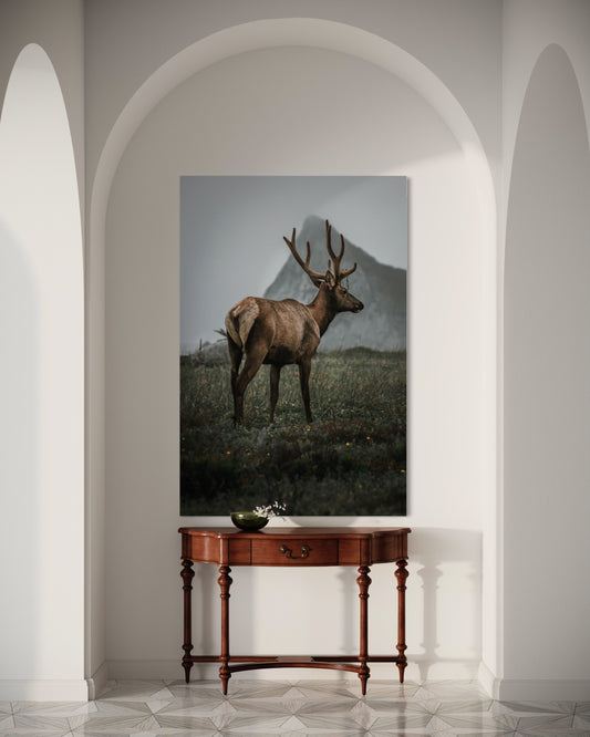 Cuadro decorativo canvas Alce 001