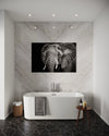 Cuadro decorativo canvas Elefante 003