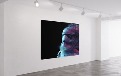 Cuadro decorativo canvas Stormtrooper 003