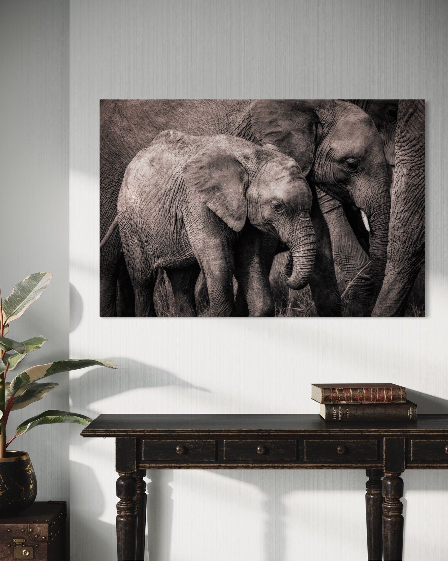 Cuadro decorativo canvas Elefantes 003