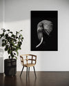 Cuadro decorativo canvas Elefante 001