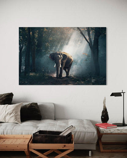 Cuadro decorativo canvas Elefante 005