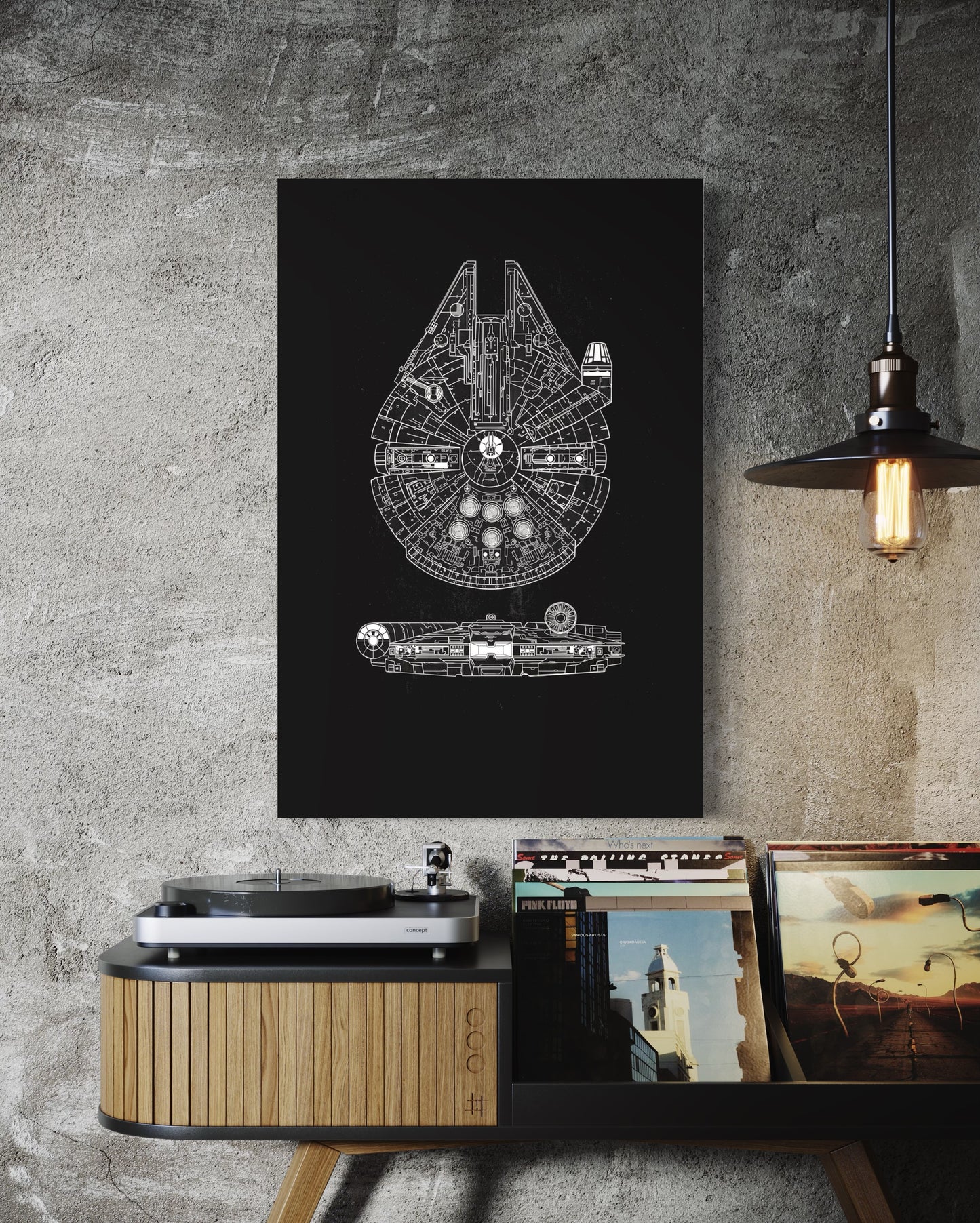 Cuadro decorativo canvas Halcón Milenario