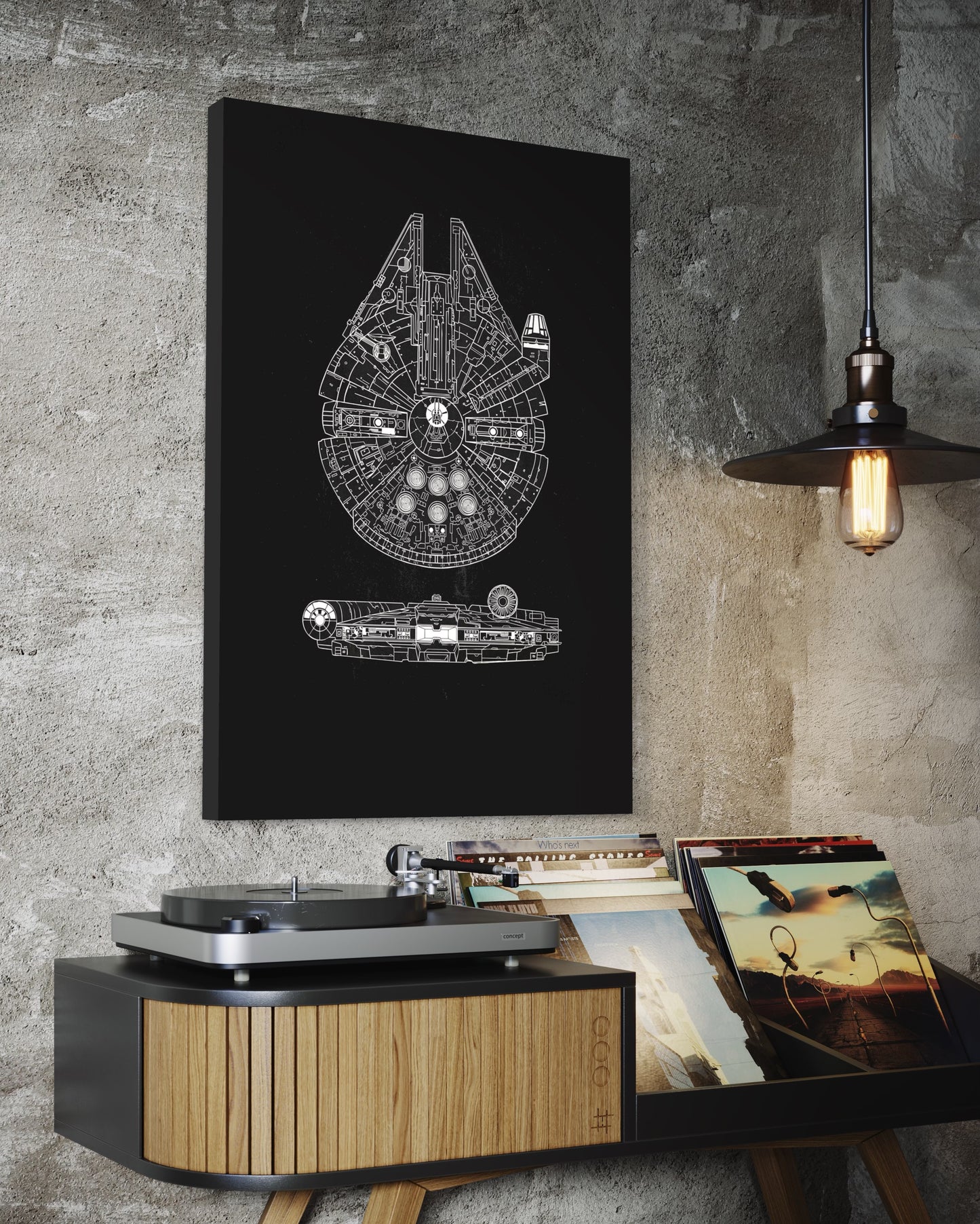 Cuadro decorativo canvas Halcón Milenario