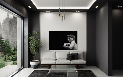 Cuadro decorativo canvas El David 004