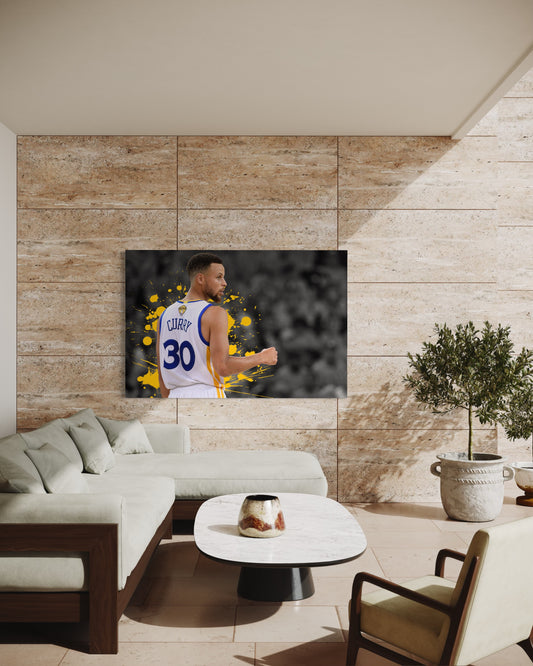 Cuadro decorativo canvas Curry 002