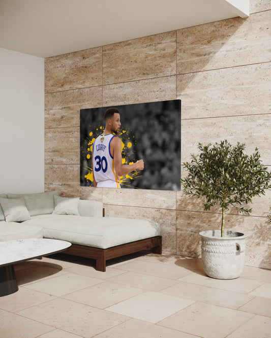 Cuadro decorativo canvas Curry 002