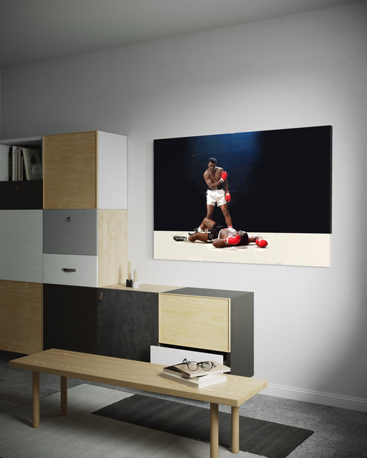 Cuadro decorativo canvas Ali 001