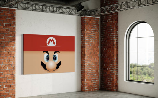 Cuadro decorativo canvas Mario 002