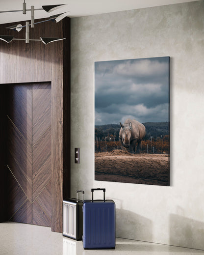 Cuadro decorativo canvas Rinoceronte 002