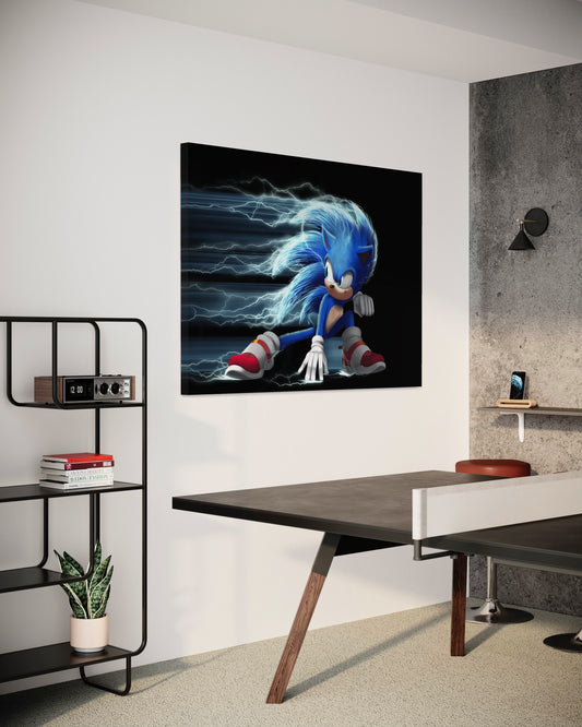 Cuadro decorativo canvas Sonic 001