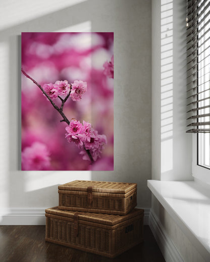 Cuadro decorativo canvas Flores 005