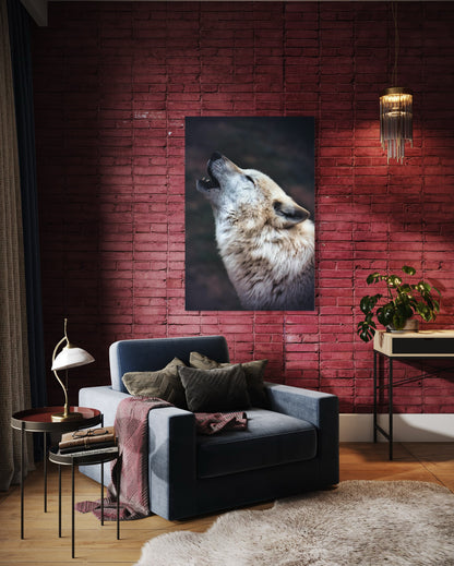 Cuadro decorativo canvas Lobo 002