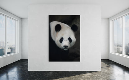 Cuadro decorativo canvas Panda 002