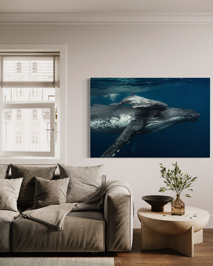 Cuadro decorativo canvas Ballenas 001