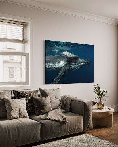 Cuadro decorativo canvas Ballenas 001