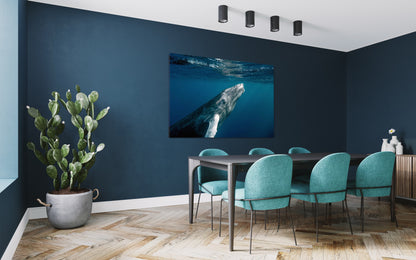 Cuadro decorativo canvas Ballena 002