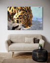 Cuadro decorativo canvas Jaguar 006
