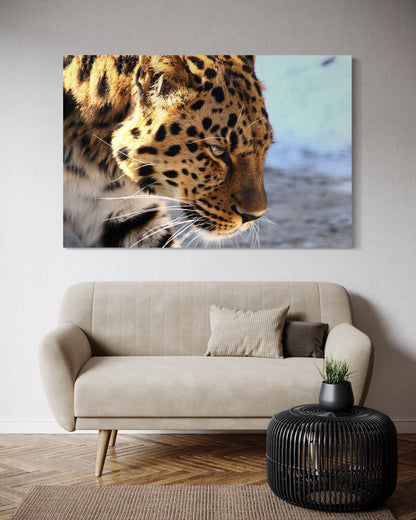 Cuadro decorativo canvas Jaguar 006