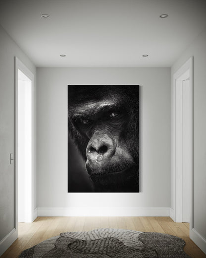Cuadro decorativo canvas Gorila 002