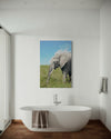 Cuadro decorativo canvas Elefante 008