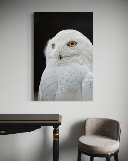 Cuadro decorativo canvas Búho 002