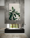Cuadro decorativo canvas Hojas 007