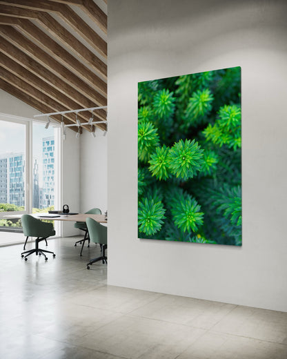 Cuadro decorativo canvas Hojas 008